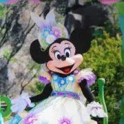 ミニミニの画像