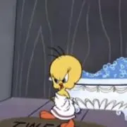 tomoの画像