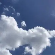 まーぼーの画像