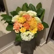 ポイウサの画像