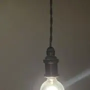 eelの画像