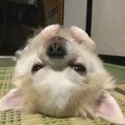 KK.777