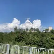 bikiの画像