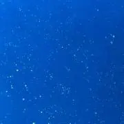 きい
