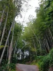 あんころ餅の画像