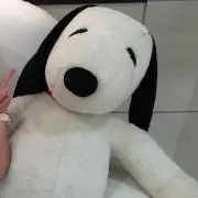 ミルクの画像