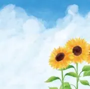 ymym⭐︎の画像