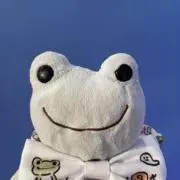 どんぐりの画像