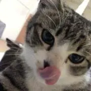 古着★SUNRISE❤️最大20%値引