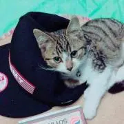 お