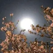 kan