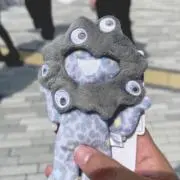 haruの画像