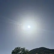 1824z値下げ不可の画像
