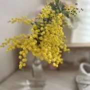 aの画像