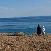 めがね君の画像