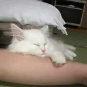 とも