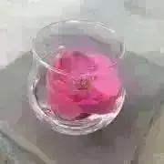 ハリネズミの画像