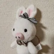 etoりりの画像