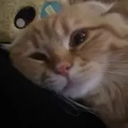 うっちー