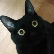 たろう