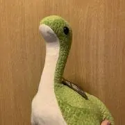 チンピラごぼうの画像