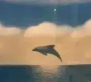 いちごの画像