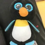 ぺんぺんの画像