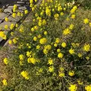 びーむ