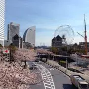 R.Kの画像
