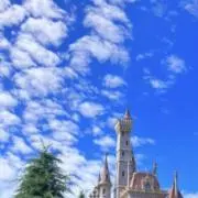 coco.の画像