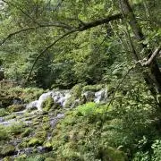 ようの画像