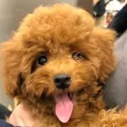 かおるの画像
