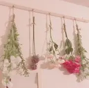 ちょこべびー