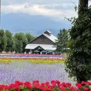 tanikusanの画像