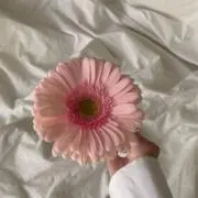 ぼぶの画像