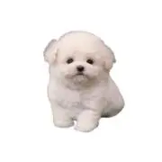 ♡mom♡の画像