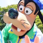 こむぎ