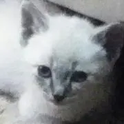 まち