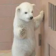 ぽんた
