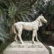 gojas