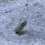 バイパスの画像