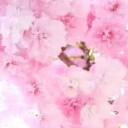 ®️