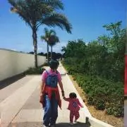 母葉の画像