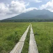 もも