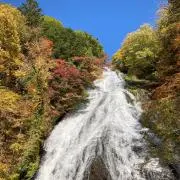 らっきぃの画像
