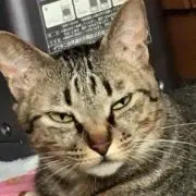 拓也