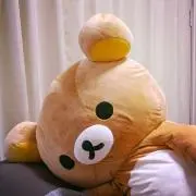 syoheiの画像