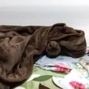 うさおの画像