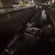 ほの画像