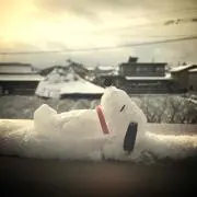 るこの画像